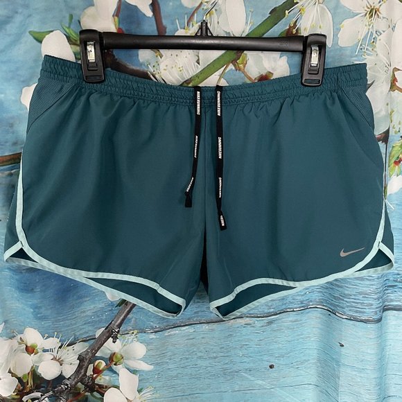 Nike Dri- Fit Women's athletic shorts Sz L - Picture 1 of 9